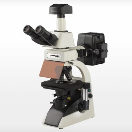 3012 Trinocular Fluorescence Microscope with Camera