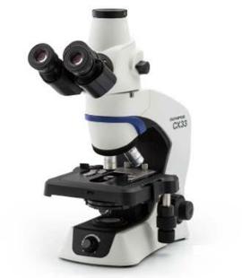 Microscope Olympus CX33